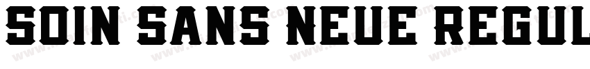 Soin Sans Neue Regul字体转换